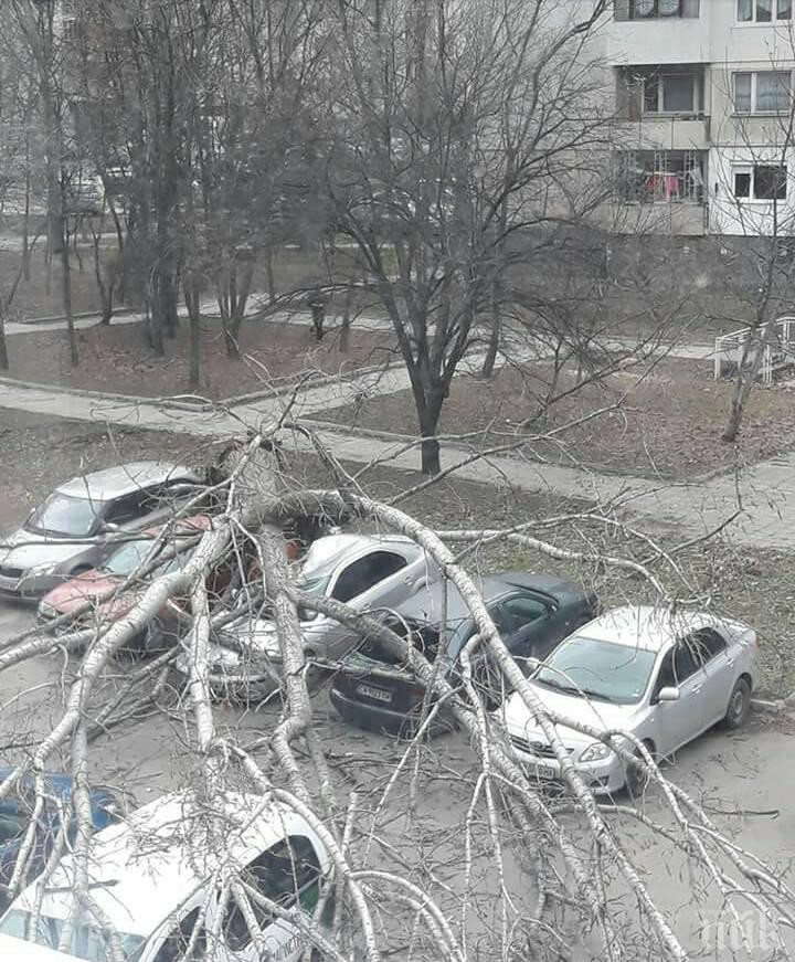 Лошо време нападна България: Ураганни ветрове из цялата страна (Снимки)