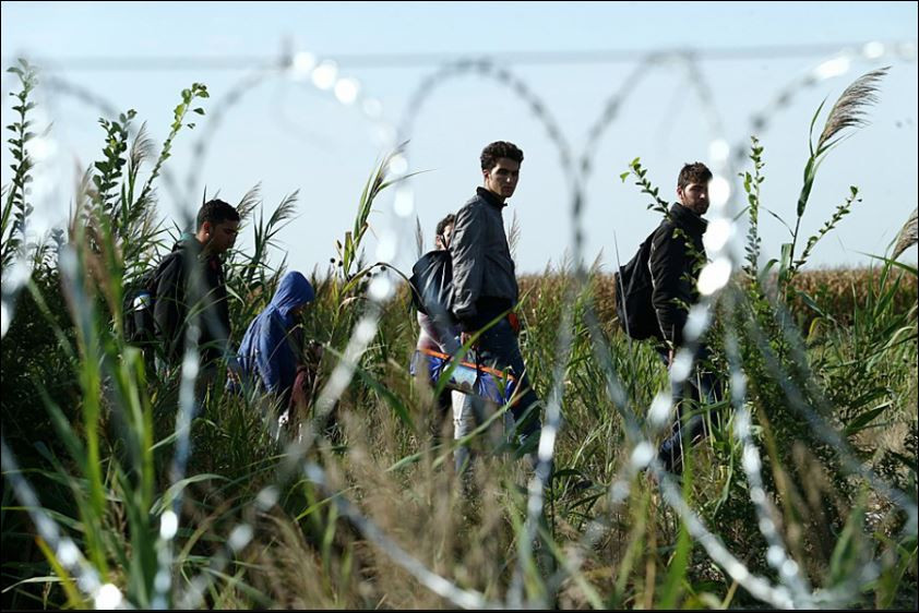 Мигранти газят Марица, за да влязат в Европа (Подробности)