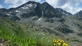 Green threats: “Environmentalists” utilize millions to sabotage Bulgarian economic projects