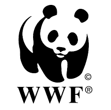 The Dark Side of the WWF