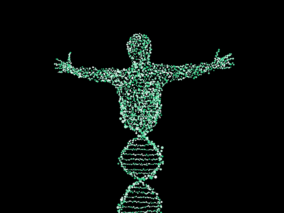 Приложна наука: Разкриха гените свързани с интелекта на човека
