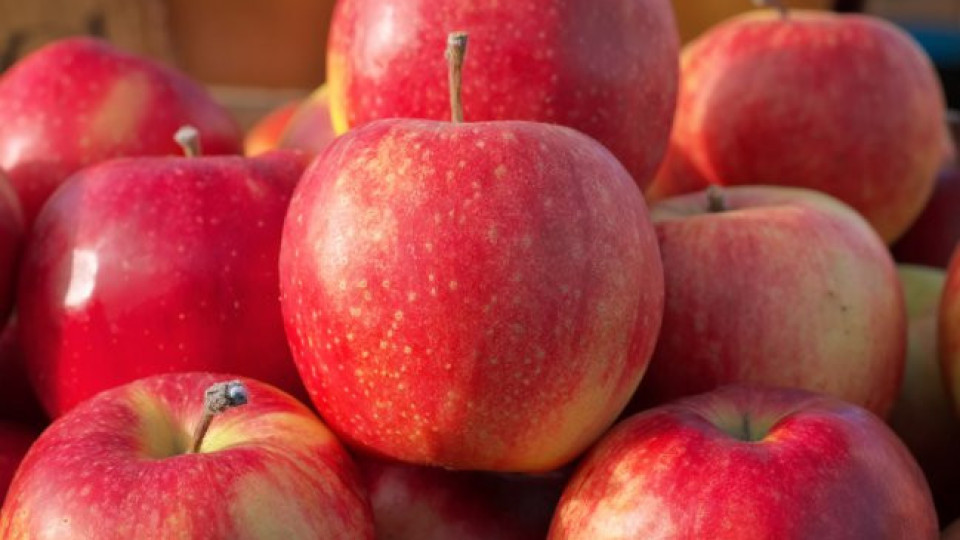 Ябълките - полезни или вредни за хората с диабет?