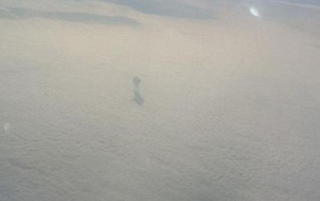 Илюзия? Пътници на самолет видели човек в облаците