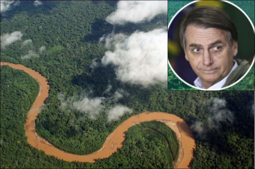 Апокалипсис сега! Президентът на Бразилия унищожава горите на Амазонка
