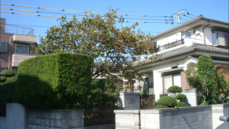 Япония раздава безплатни жилища  (Вижте още за програмата)