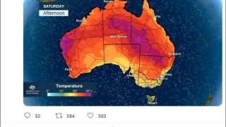 Топлинен ад в Австралия, животни и риби умират на +50 градуса