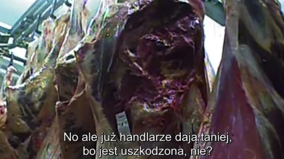 Нови разкрития за заразеното месо от Полша (Видеото потресе цял ЕС)