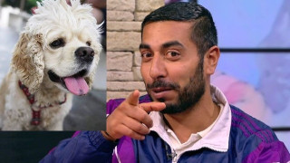 100 Кила изгуби кучето си: Предлага парична награда на този, който го намери! (виж тук)