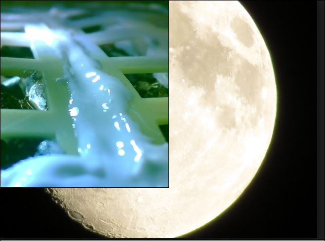 Китай отгледа първи растения на Луната (Още новини за новите космически изследвания)
