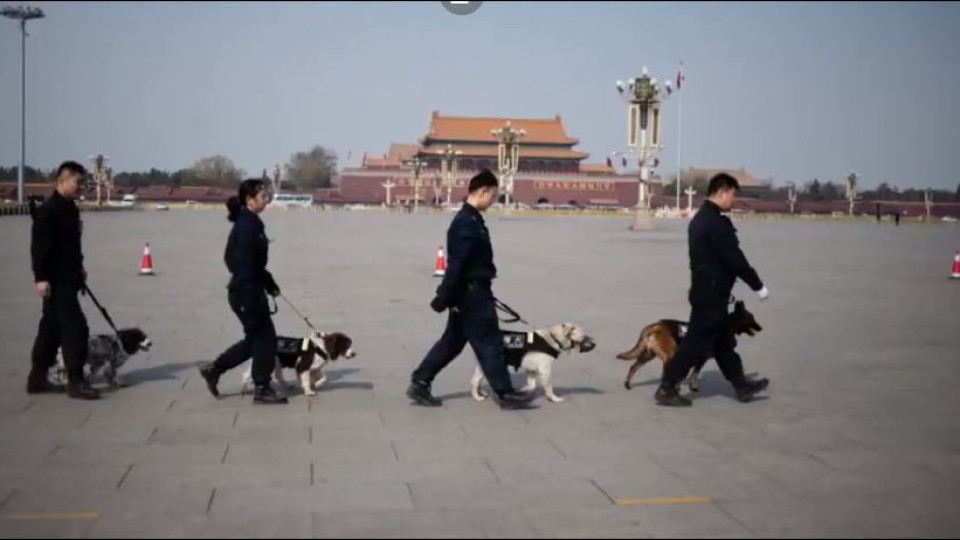 Клонирането продължава! Създадоха клонинг на куче в Китай