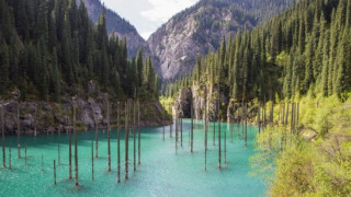 Загадката Каинди (Какво се скрие зад магическото езеро в Казахстан)