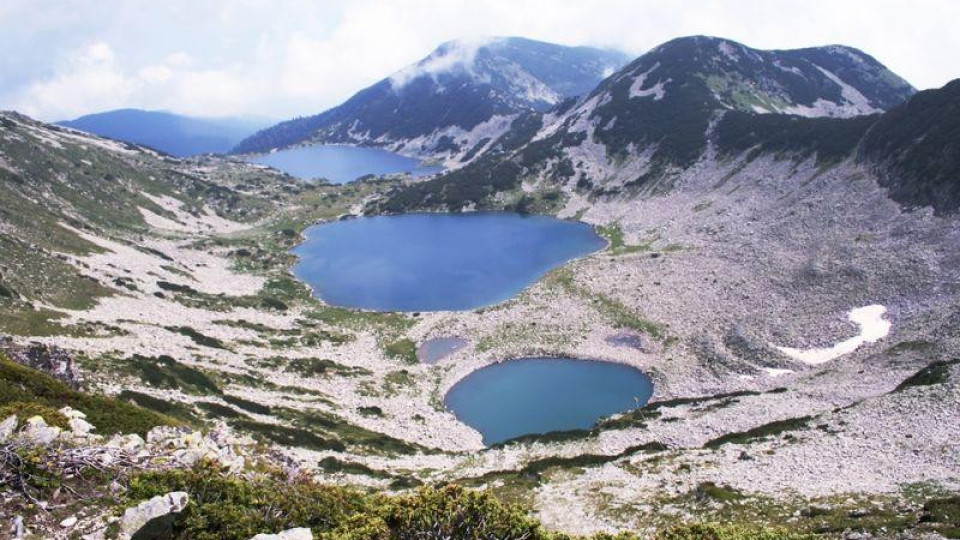 Environmentalists are about to finally kill the industry in Europe