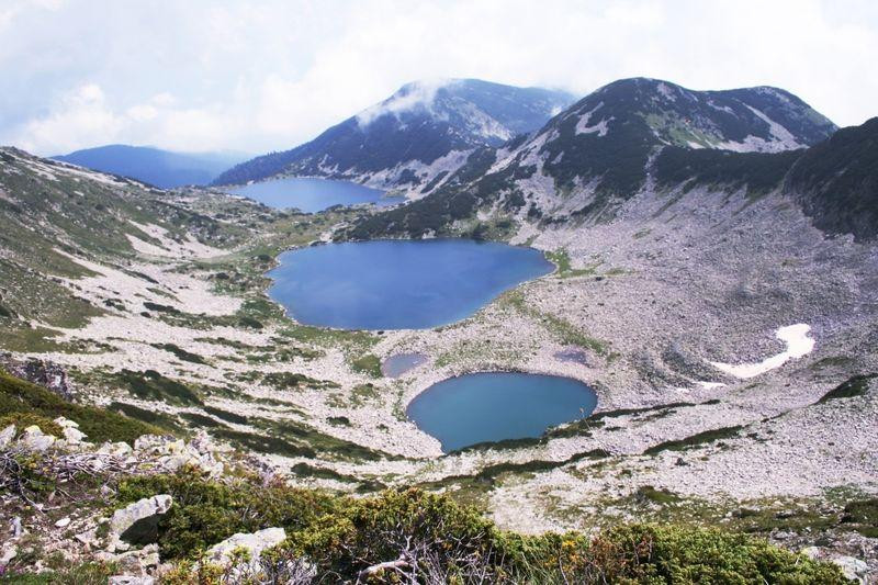 Environmentalists are about to finally kill the industry in Europe