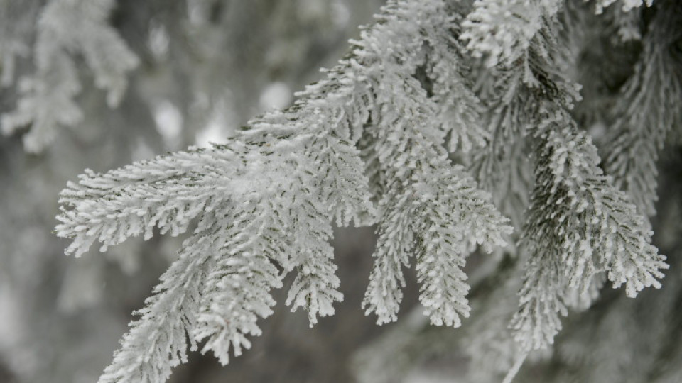 Синоптиците разкриха кога ще падне първият сняг в България