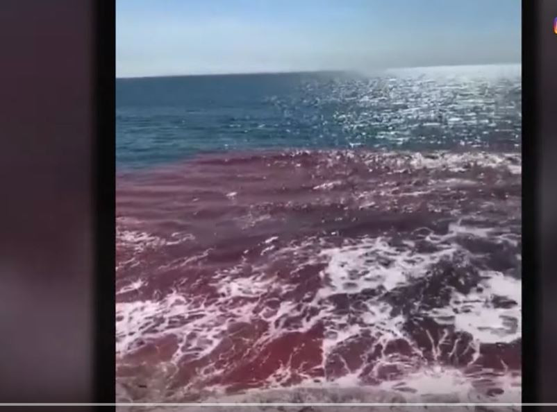 Пожарът в Калифорния остави милиони без ток и боядиса океана в розово