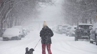 Синоптикът Петър Янков разкри кога се очаква да падне първият сериозен сняг в страната