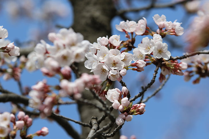 Синоптиците разкриха каква пролет се задава