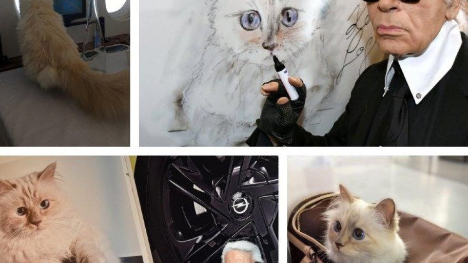 Ето как котката на Карл Лагерфелд харчи милионите му