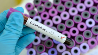 БАН разработва ваксина против коронавирус (Подробности)