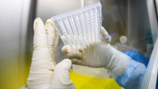 Американски учени със стряскаща прогноза за епидемията от коронавирус у нас
