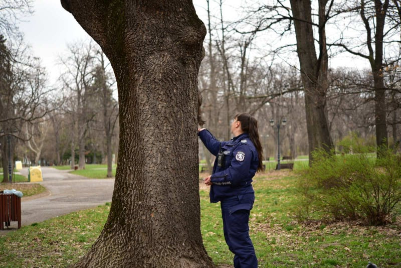 Пример за подражание във време на пандемия: Полицайка храни катерица в парка!