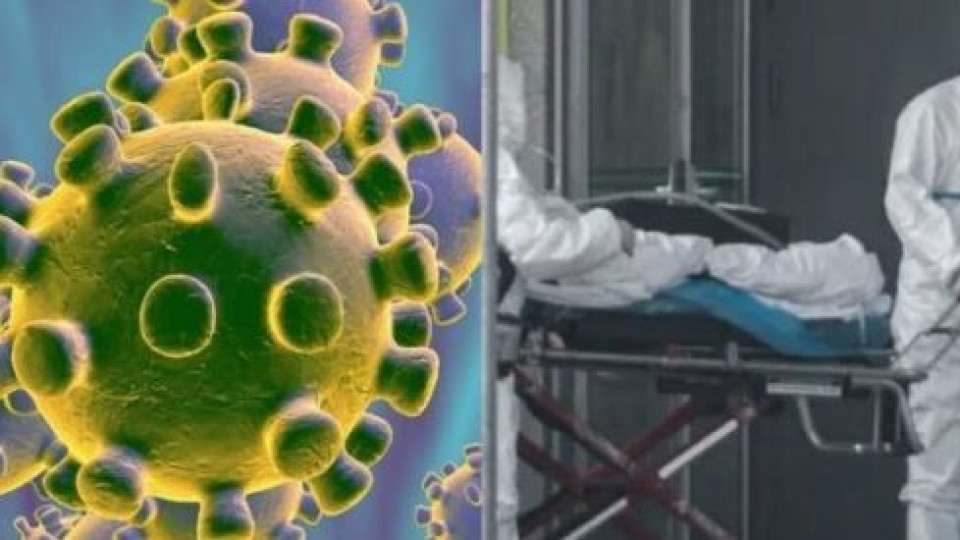 Учени от Харвард със стряскаща прогноза за пандемията от коронавирус