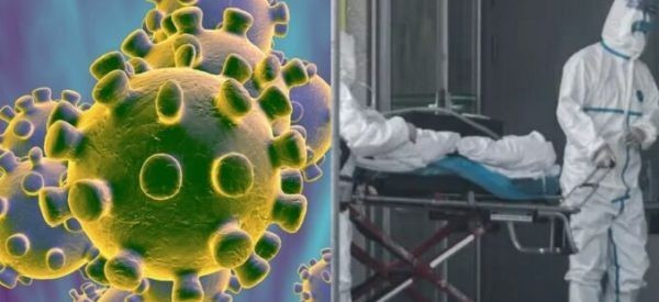 Учени от Харвард със стряскаща прогноза за пандемията от коронавирус