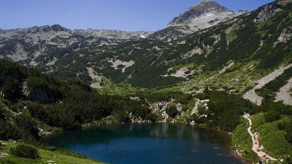 WWF-Bulgaria spread a lie about the wild goats on Pirin mountain
