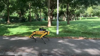 Не е фантастика! Кучета-роботи охраняват парковете в Сингапур (Снимки и видео)