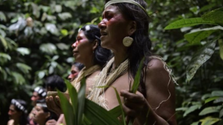 Унищожават коренното население на Бразилия с Covid-19 заради Амазония? (Заразата плъзнала след съмнителна ваксинация)