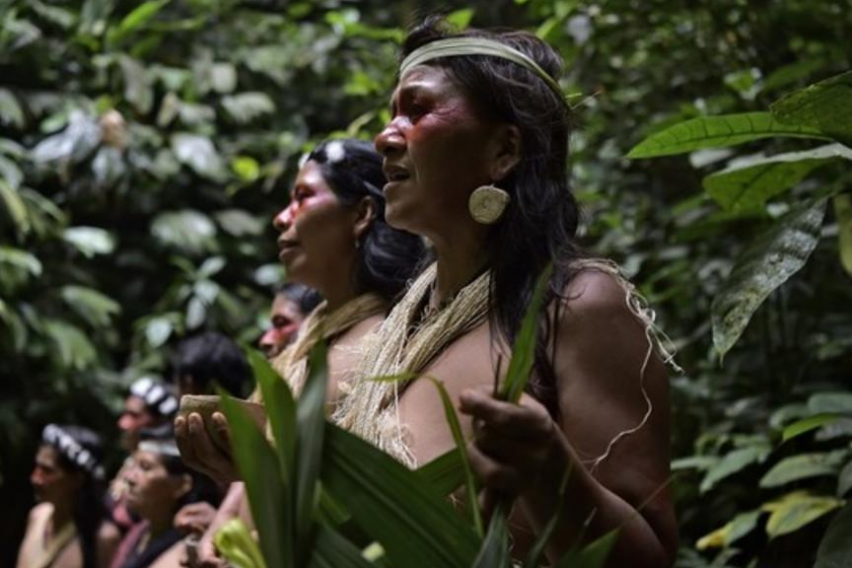 Какво се случва с коренното население на Бразилия? сн. You Tube 