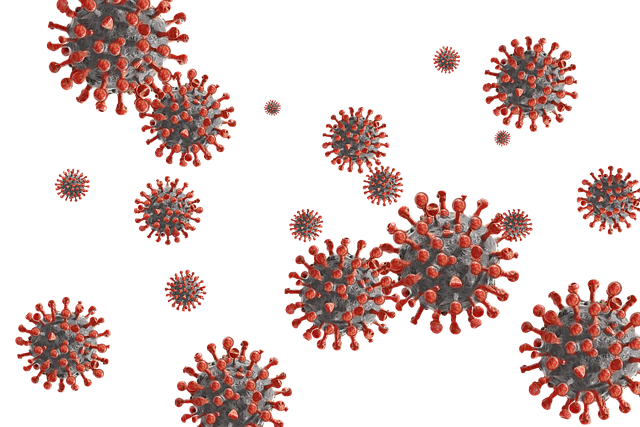 Европа отново в хватката на коронавируса сн. pixabay