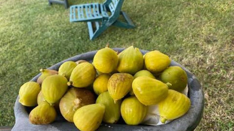 Йорданка Христова си показа смокините и на всички им потекоха лигите (ФОТО)