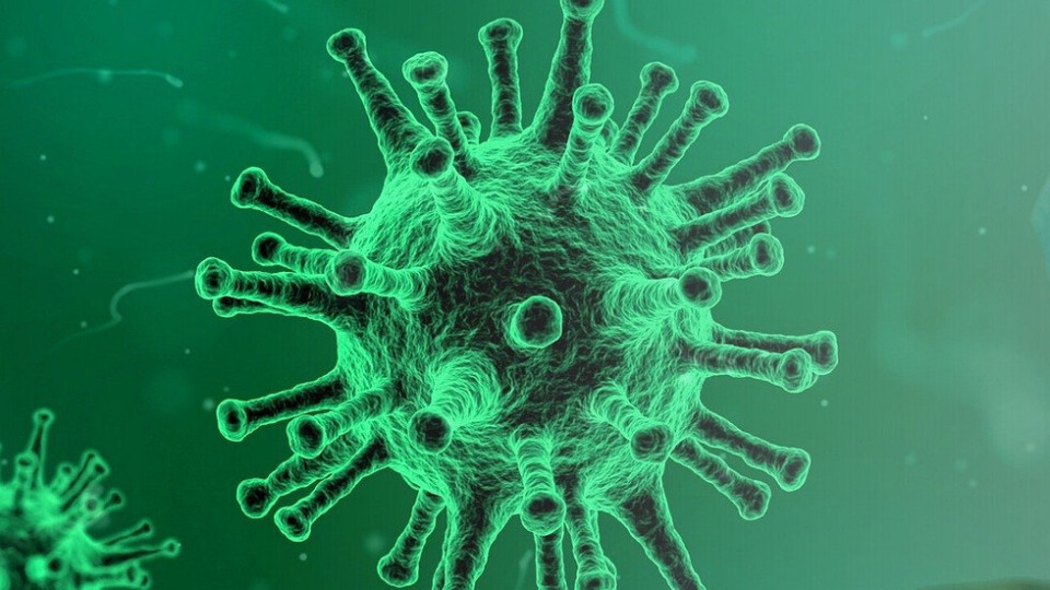 Древен текст предсказва коронавируса и посочва лечението