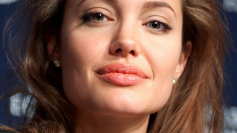 Анджелина Джоли пише книга (Подробности)