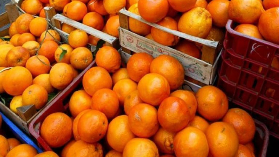 Внимание: Откриха опасен пестицид в портокалите у нас