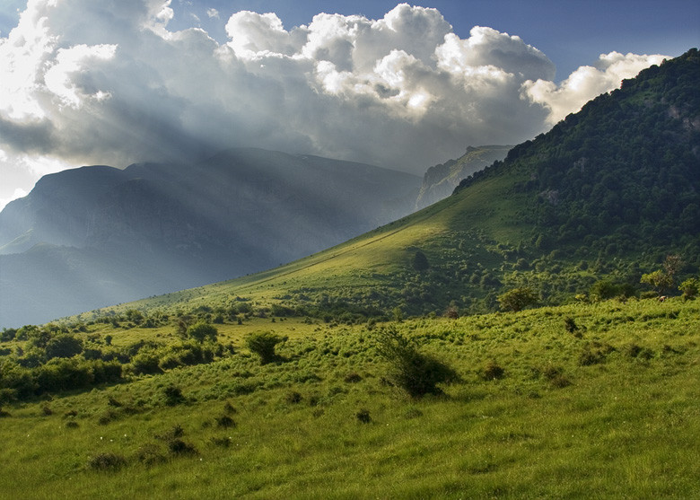 Green scams make the mountains deadly