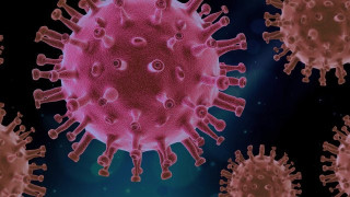 Специалисти разкриха симптомите на новия коронавирус