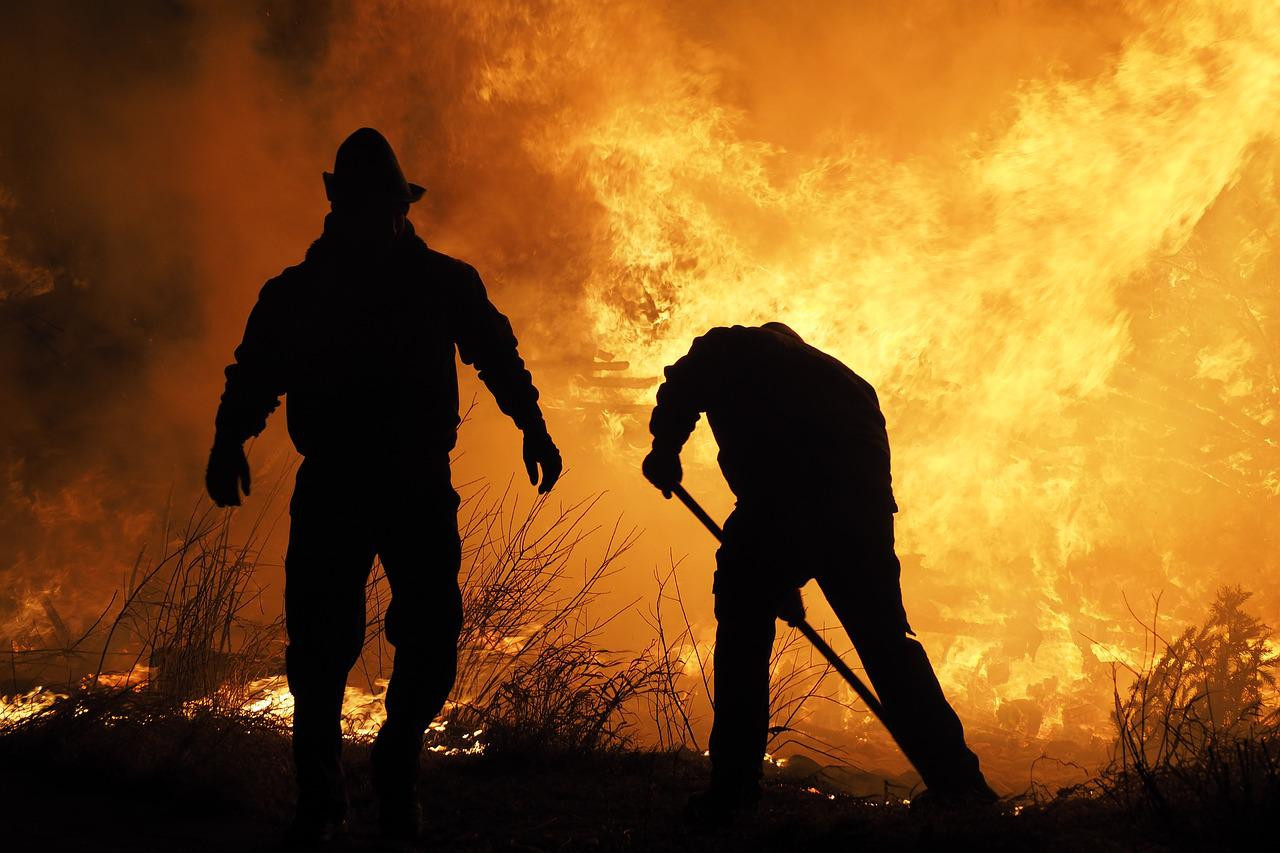 Пожарите в България - заради човешка небрежност (Какво не бива да правим през сезона, за да не предизвикаме пожар?)