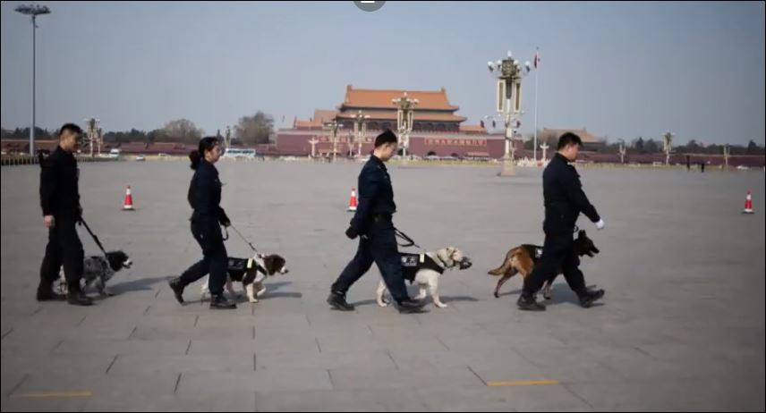 Китай продължава с клонирането сн. You Tube 
