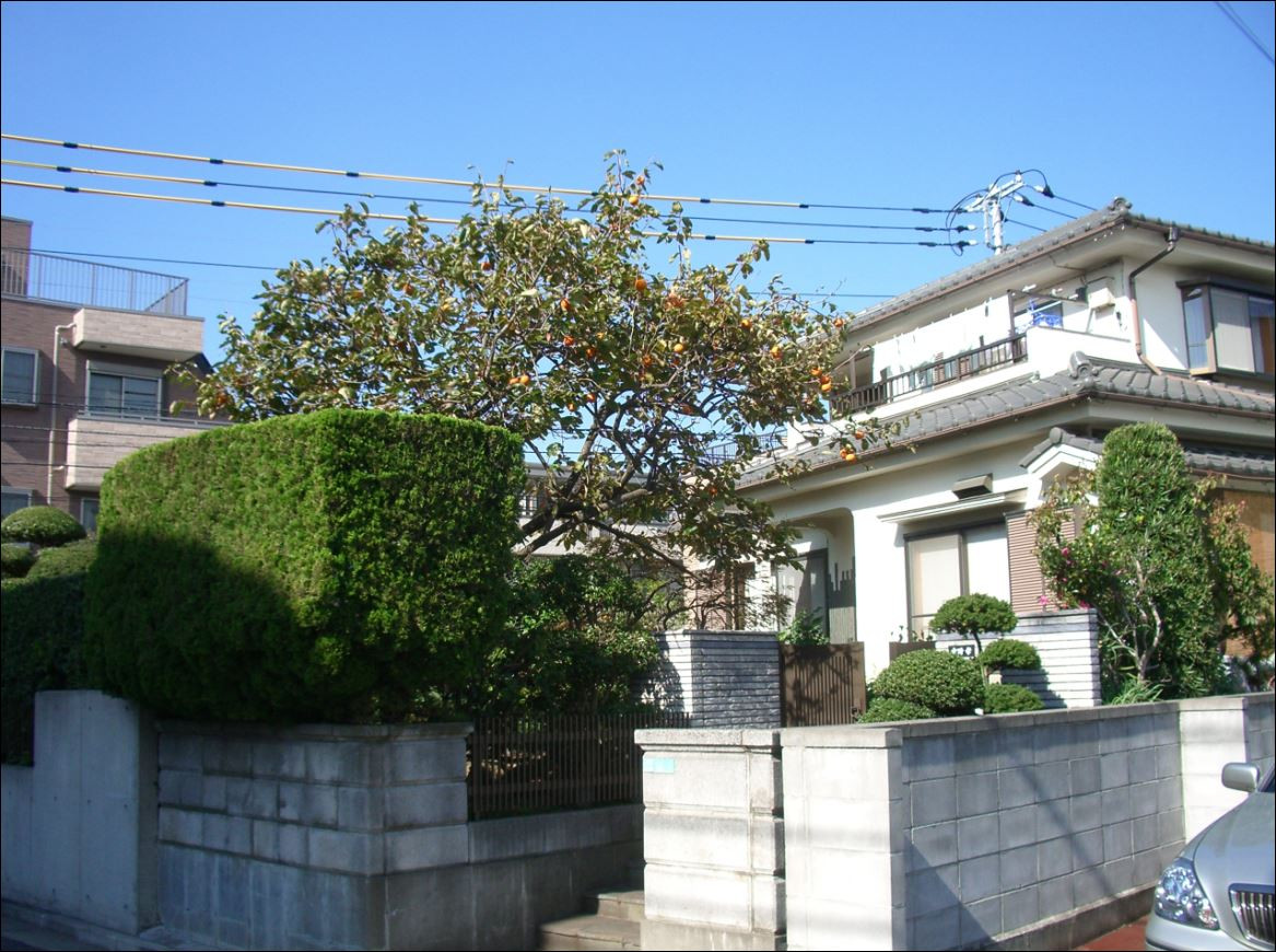Япония предлага жилища на килограм сн. Уикипедия 