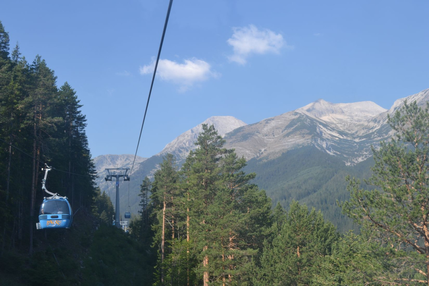 Serbia builds summer ski slopes in a national park. Toma Belev does not allow anything happens in Bulgaria