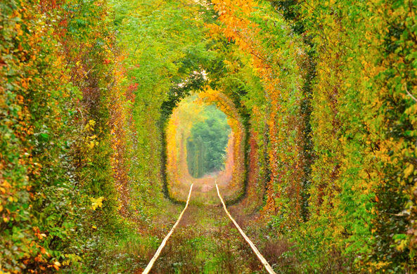 Тунелът е най-красив през пролетта и лятото, когато дърветата са се разлистили