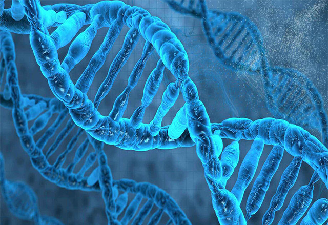 Учени се опитват да получат данни за генома на Исус Христос