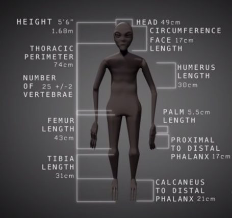 ОТКРИТИЕ НА ВЕКА? Намерените в Перу мумии са на извънземни (Вижте сензационната находка)