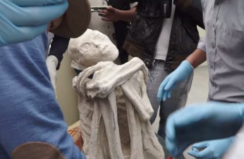 ОТКРИТИЕ НА ВЕКА? Намерените в Перу мумии са на извънземни (Вижте сензационната находка) - Снимка 2