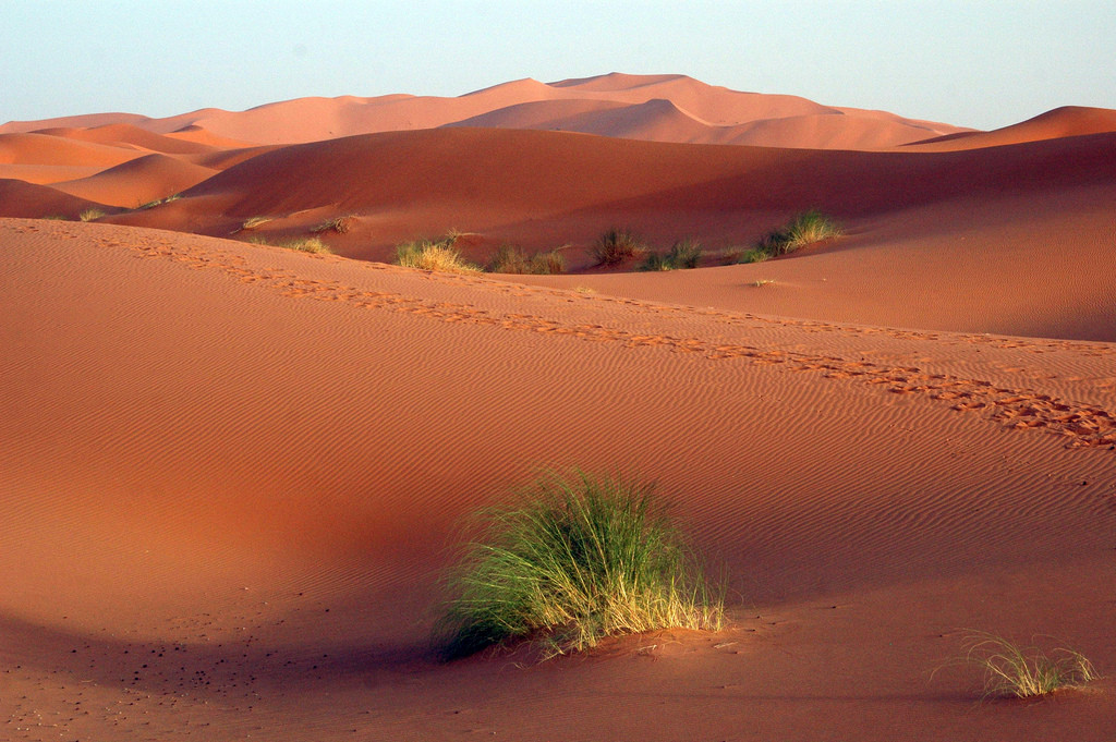 Поне още 10 дена зверски жеги, идващи от пустинята Сахара ще връхлитат страната ни
