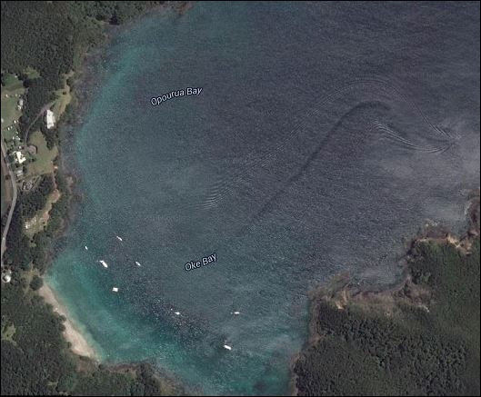 Странни снимки в Гугъл предизвикаха съмнения, за морско чудовище край Нова Зеландия