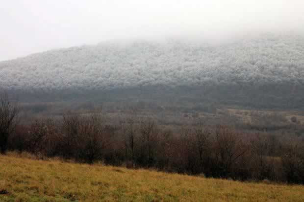 Смъртоносна мъгла порази Унгария