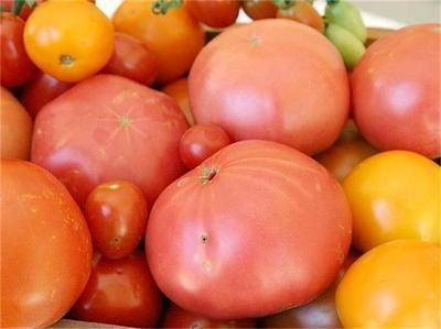 Заразени домати ни пробутват от Гърция